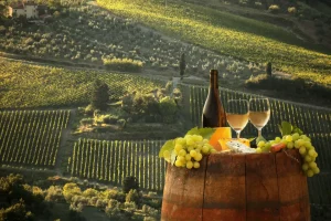 Winery Tours From Rome